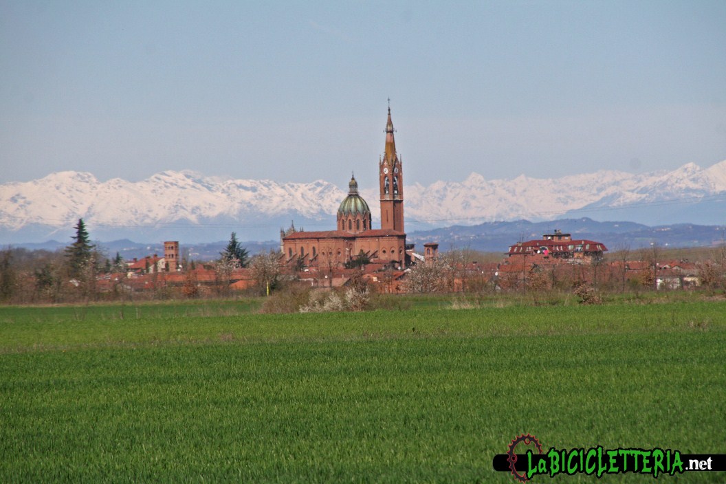 05/04/10 Boschi di Sezzadio (AL). Cross Country di Pasquetta, Festa delle Viole 2010